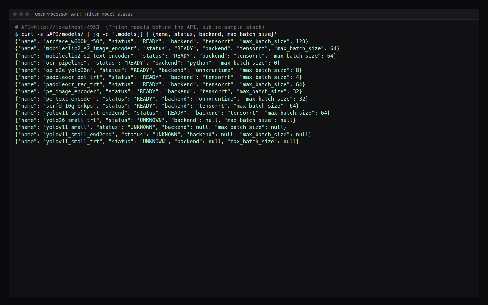 Terminal showing GET /models/ on a public-sample-data stack: each Triton model with its status, backend and max batch size