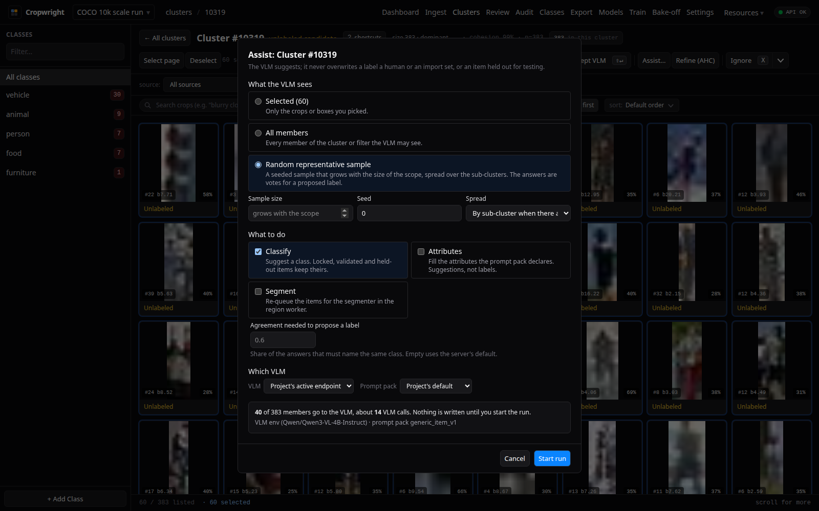 The Assist dialog on a cluster page: the sample choice, the actions, the VLM and the server's dry run