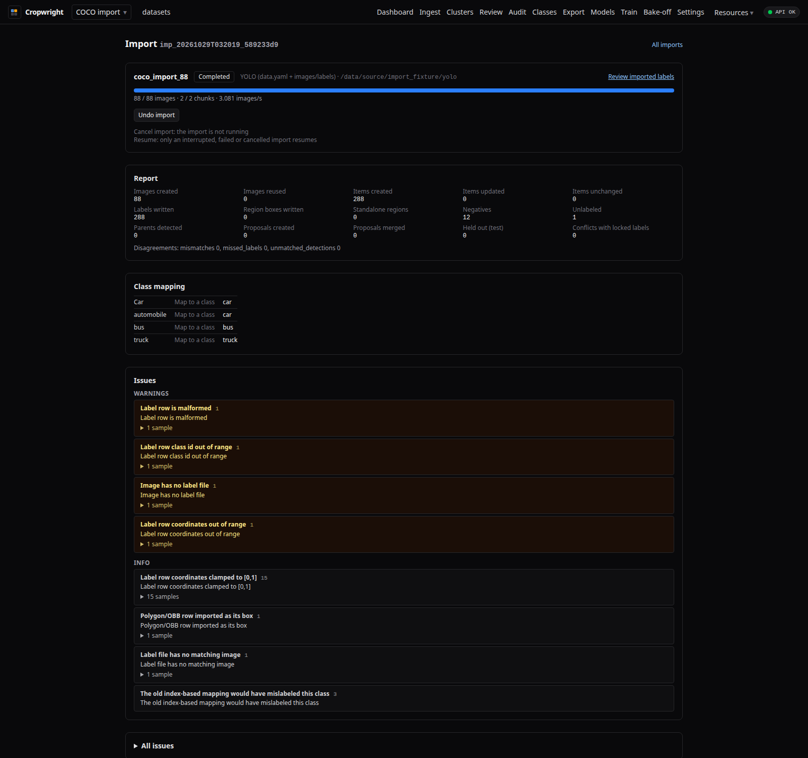 Dataset import job view with progress, report counts and next steps