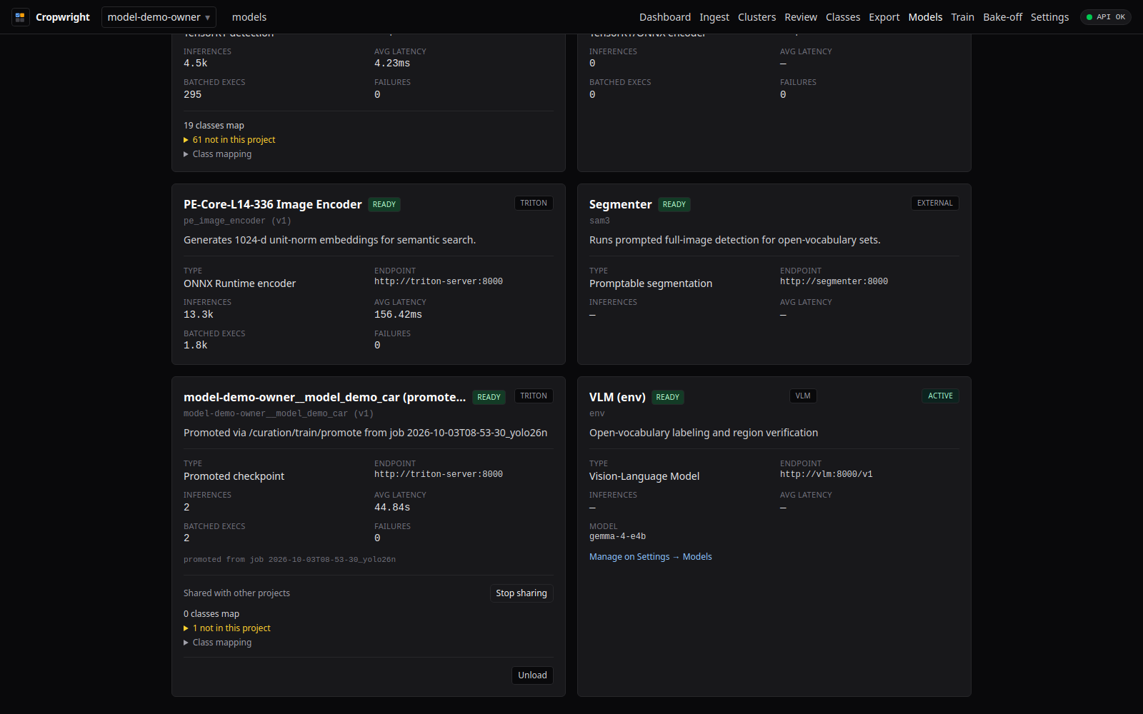 Models page showing the owner's model shared with other projects