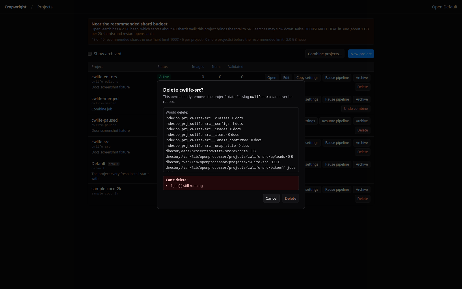 Guarded project delete showing the dry-run report and a blocking reason