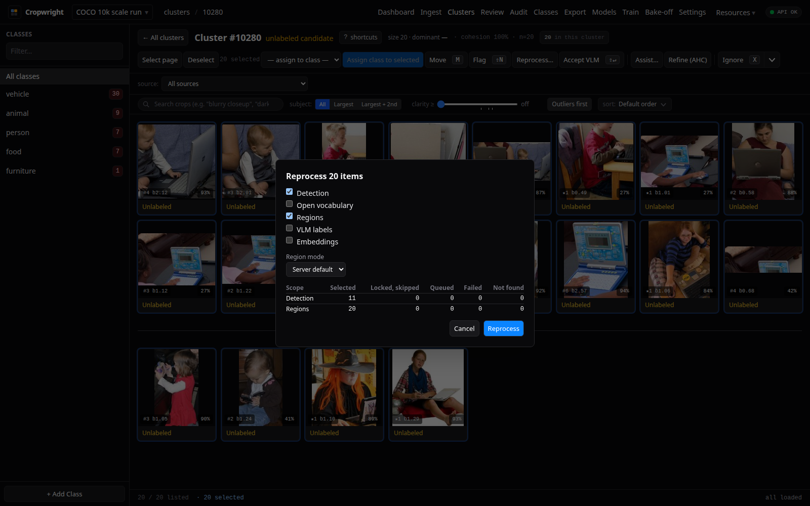 Reprocess dialog with scopes and the locked-and-skipped counts