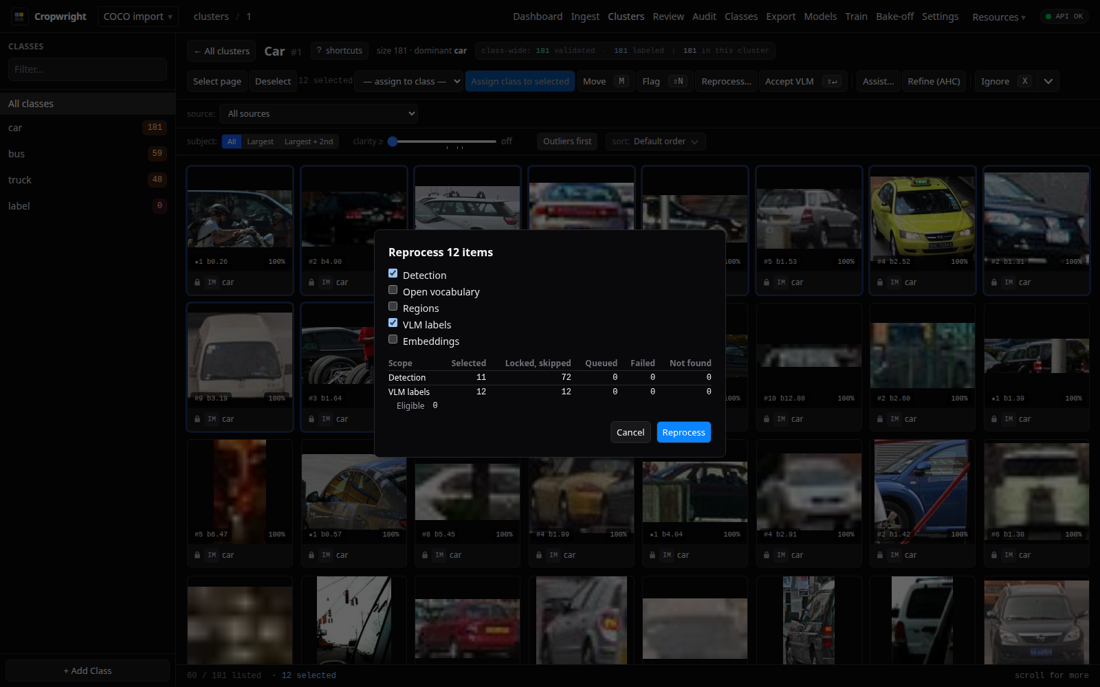 Reprocess dialog over a cluster of imported items, with the served scope labels and the locked-and-skipped counts