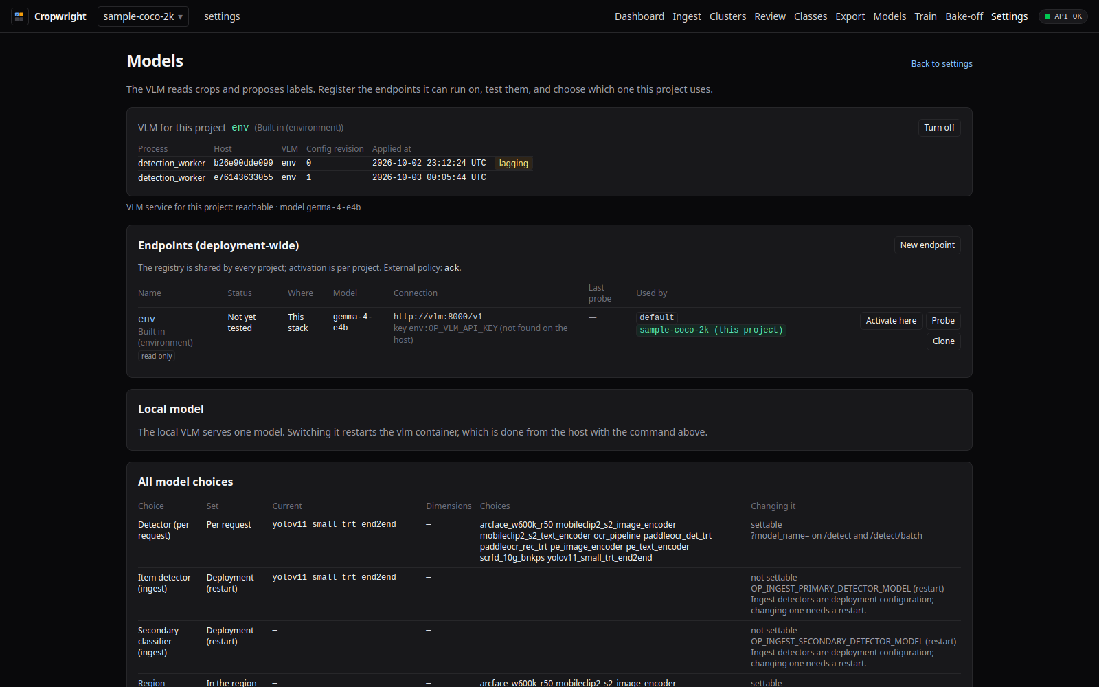 Settings Models page with the active endpoint, endpoint table and local model panel