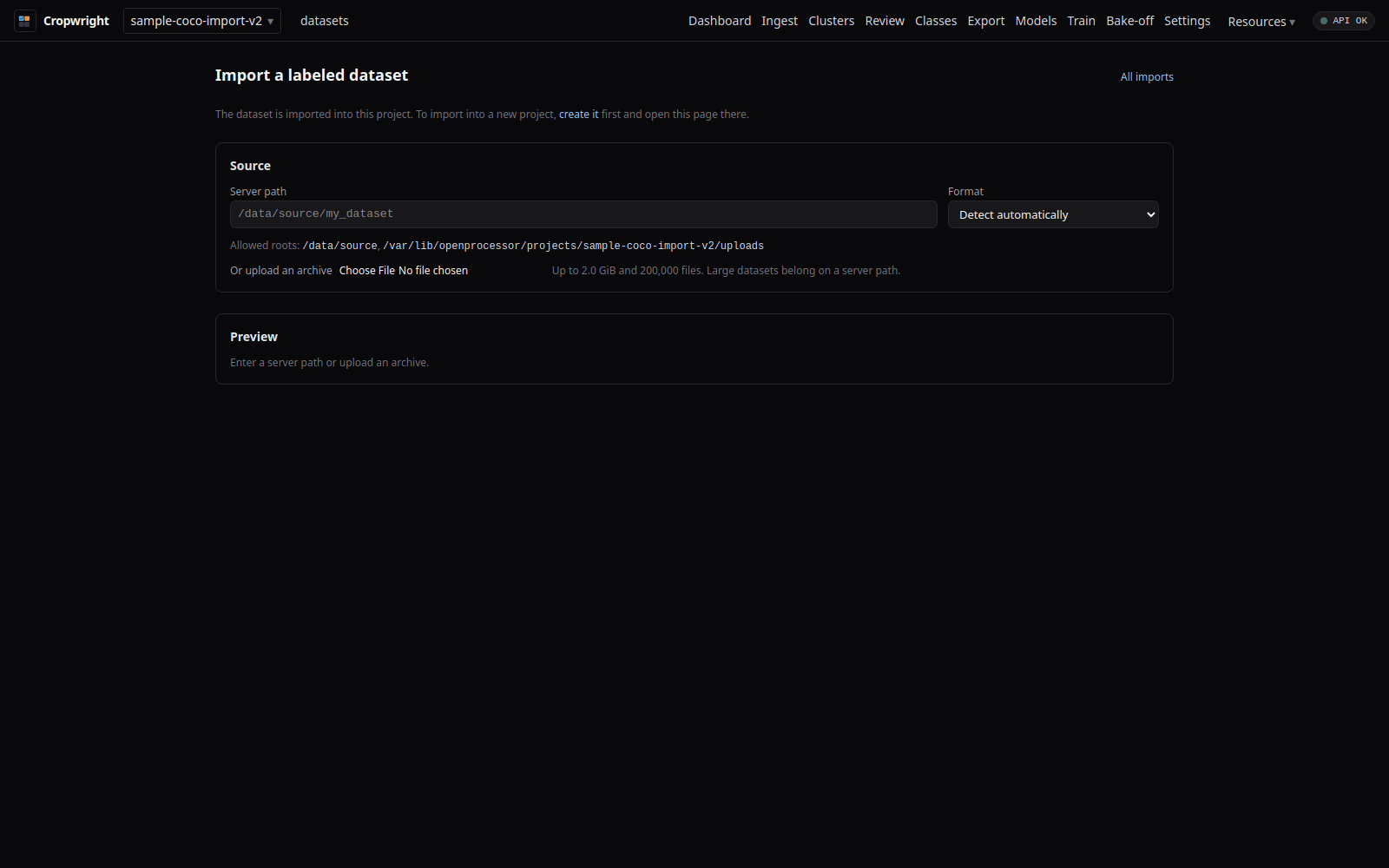 Dataset import wizard with the source path field