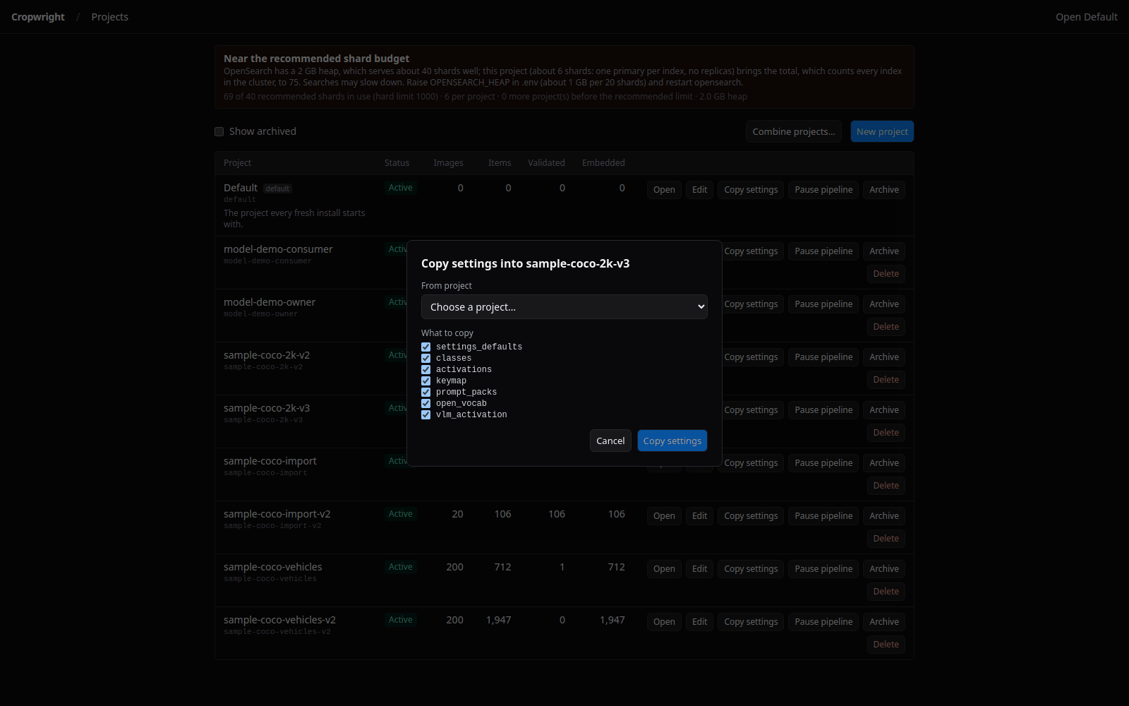 Copy settings dialog for a project