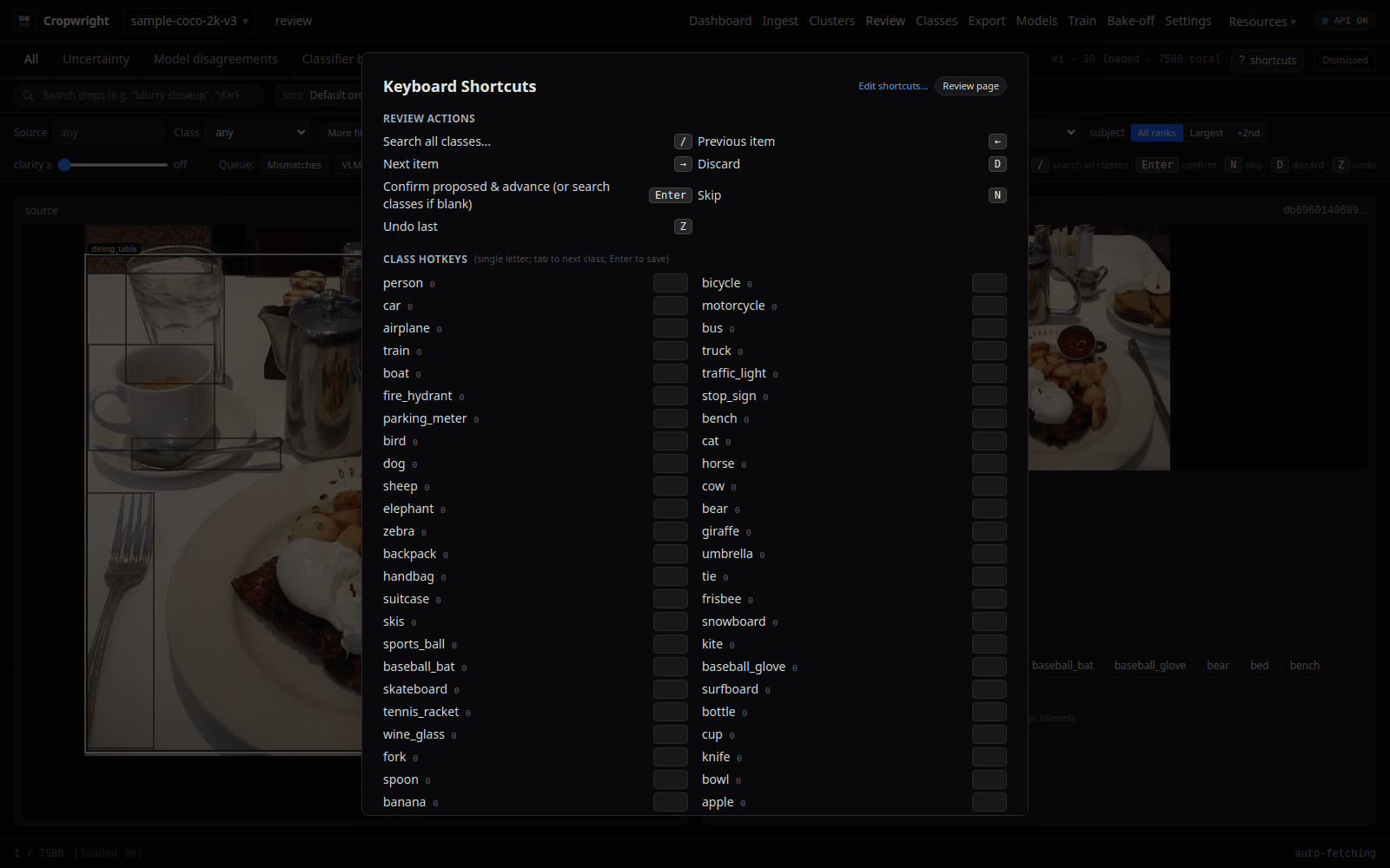 Keyboard shortcuts overlay over the review page