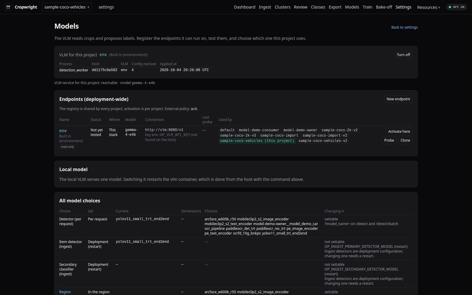 Models page with the VLM endpoint registry, the local model section and the model choices table
